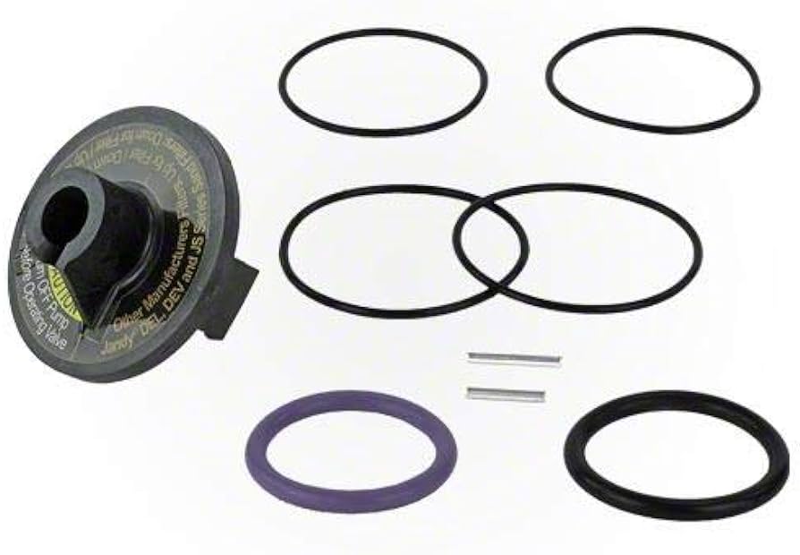Zodiac-R0442100-O-Ring