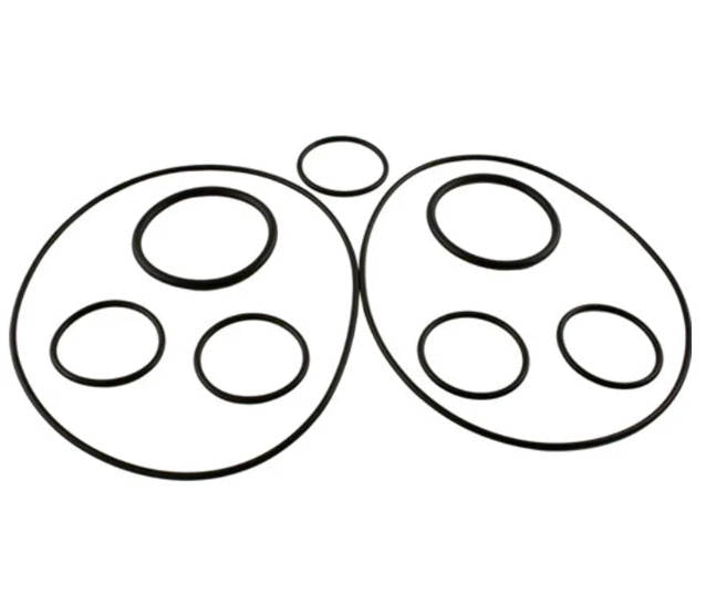 Polaris 5-13-1 Caretaker O-Ring Kit