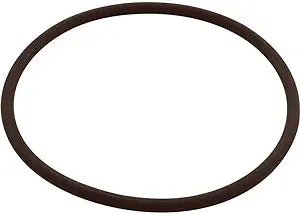 CMP 26101-060-530 PowerClean Chlorinator Lid O-Ring