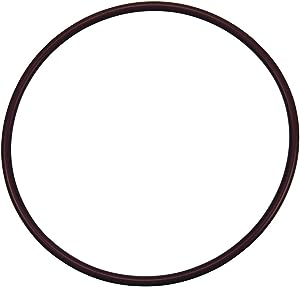 Pentair R172240Z Rainbow High Capacity Feeder Lid O-Ring