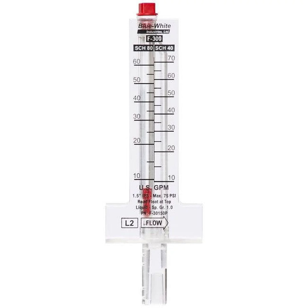 Blue White Industries F30200P FLOWMETER 2"