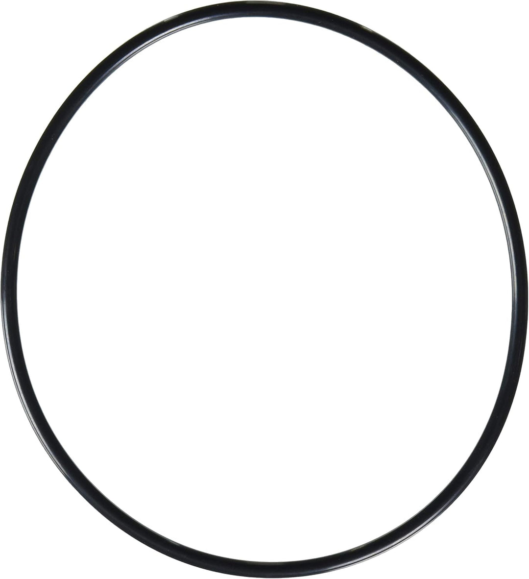 Hayward SX200Z6 Part S160T/S200/S240 O-Ring (O-284)