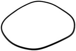 Jandy R0446300 Pro Series O-Ring, Backplate SHP, PHP, MHP