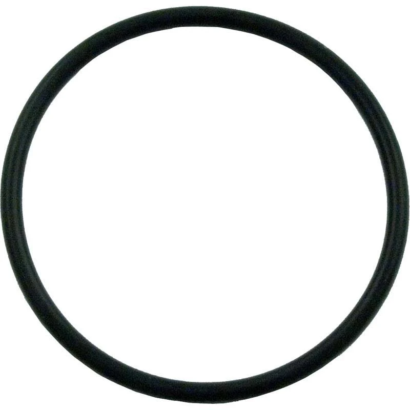 Pentair 355330 O-Ring