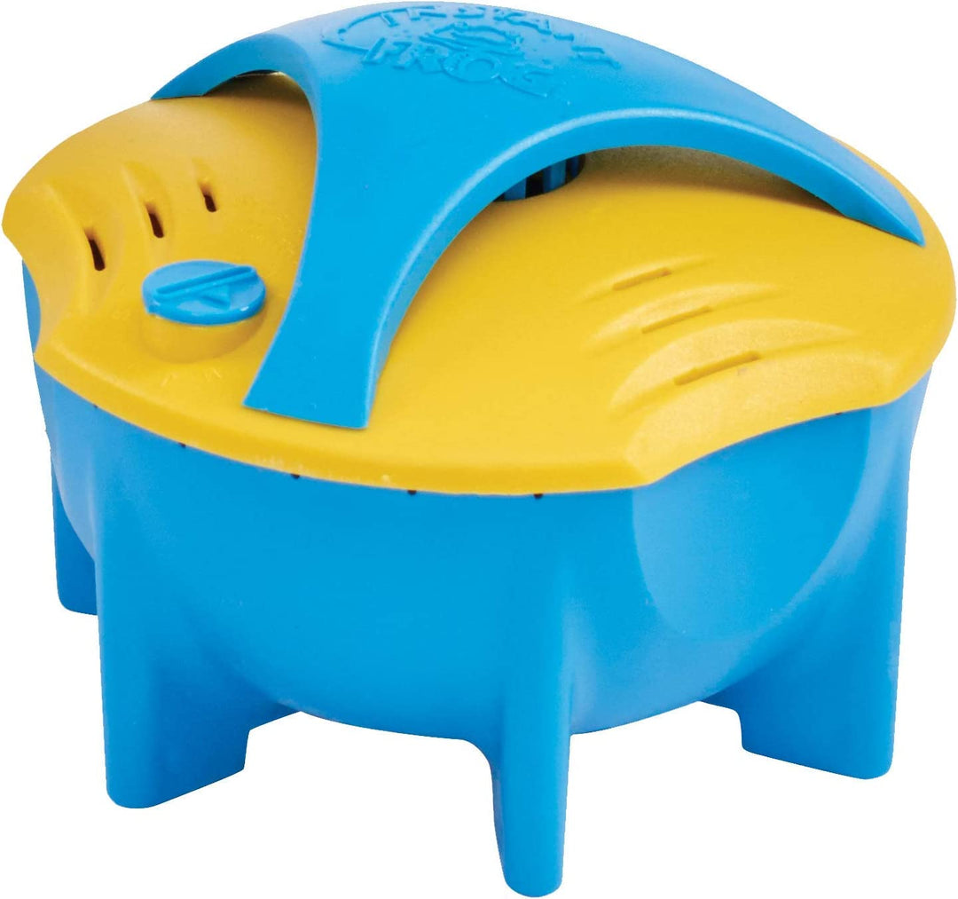 King Technology Instant Frog - Patented Mineral Disinfectant For In Ground Pools