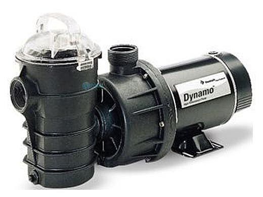 Pentair 340197 Dynamo ABG Pump 1hp 3' Cord
