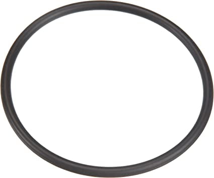 Pentair 35505-1425A System 3 Bulkhead O-Ring