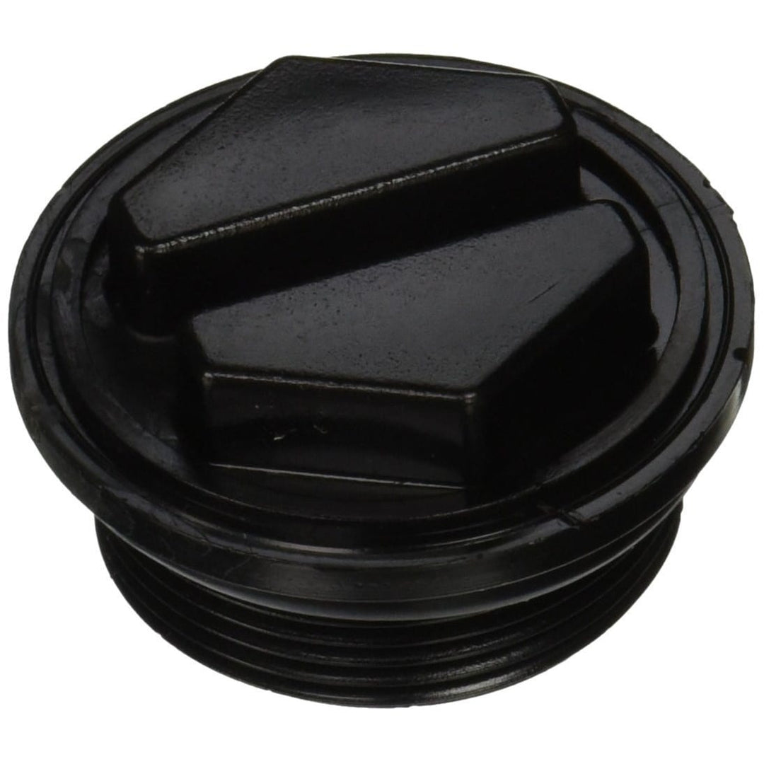 Pentair 86202000 1-1/2-Inch Plug Drain Cap with O-Ring Replacement