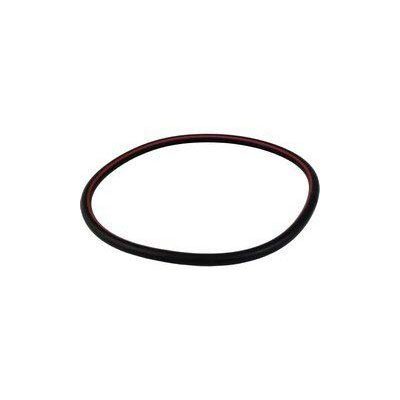 Pentair 071439 O-Ring Tank 4000 Series Filter