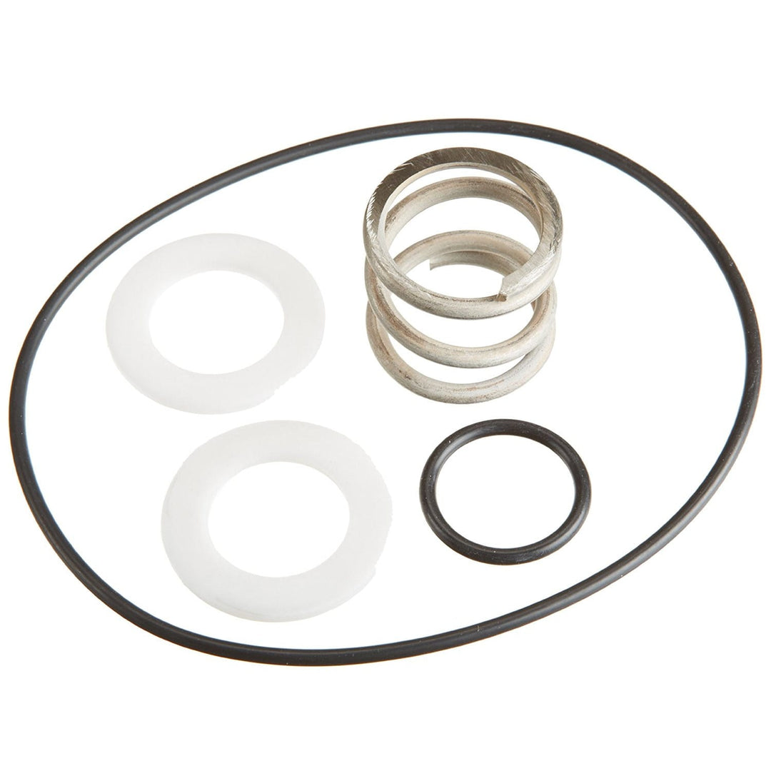Pentair 1.5" Multiport Valve Spring and O-Ring Kit