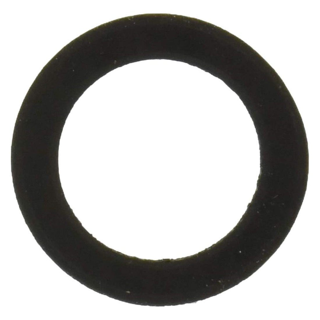 Pentair 154713 Filter Drain Cap Gasket