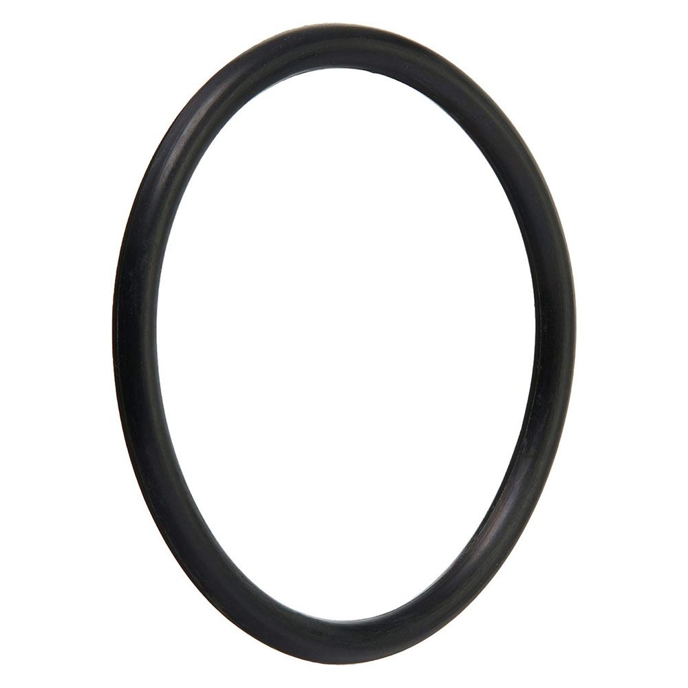 Pentair 191474 Threaded Plug O-Ring