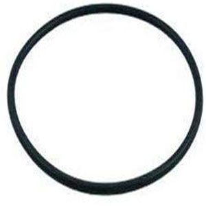 Pentair Strainer Cover O-Ring