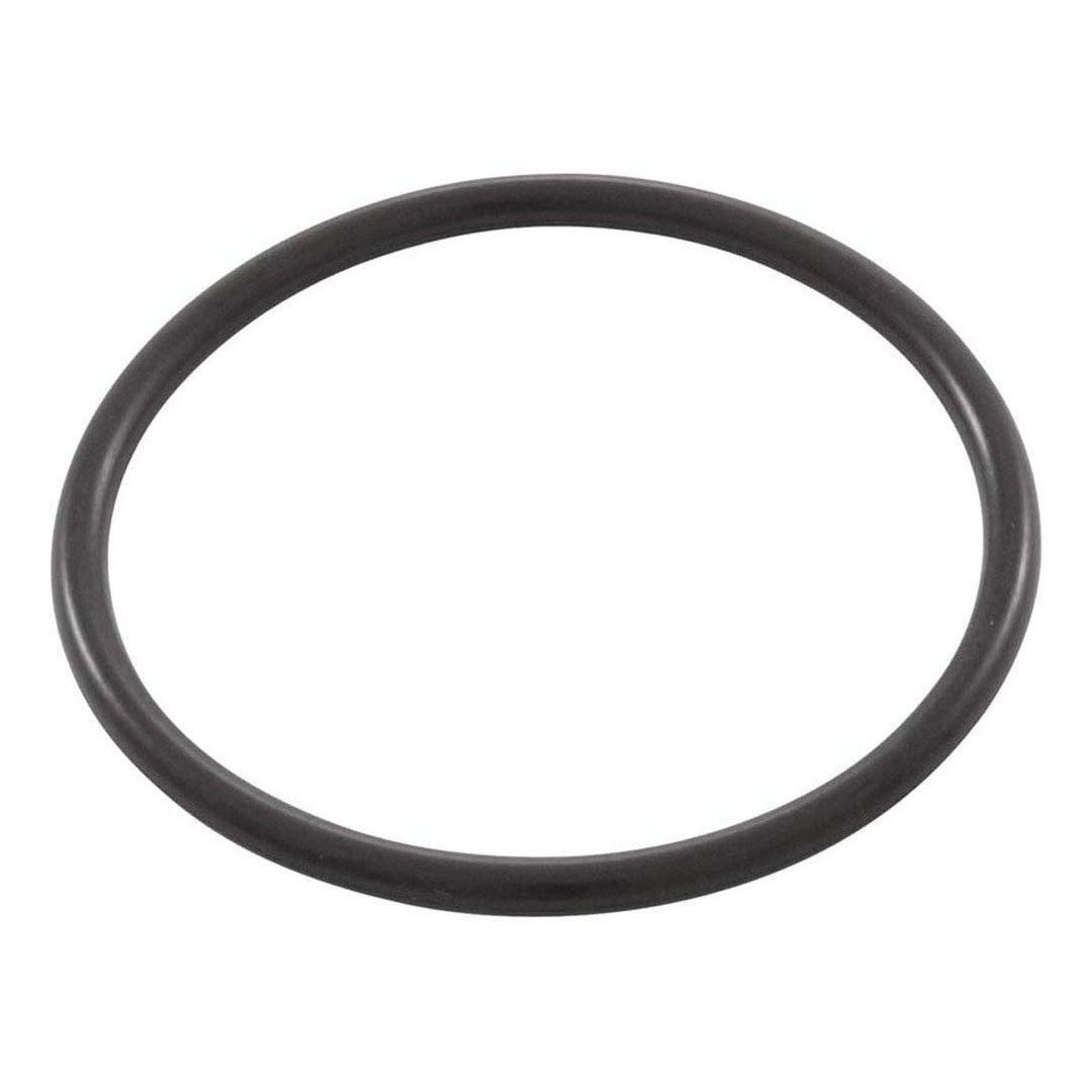 Pentair 354571 ABG Quick Connect O-Ring