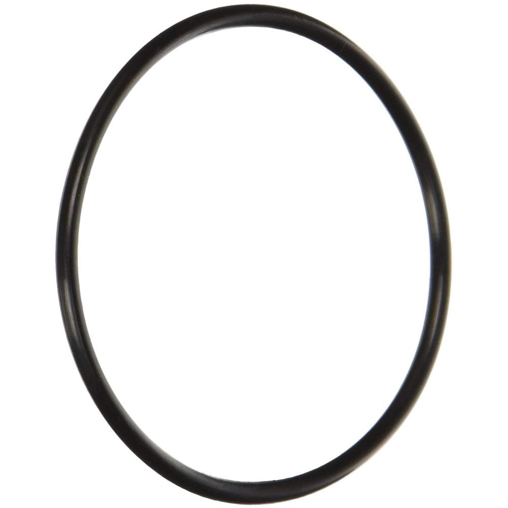 Pentair 355331Z Challenger Diffuser O-Ring