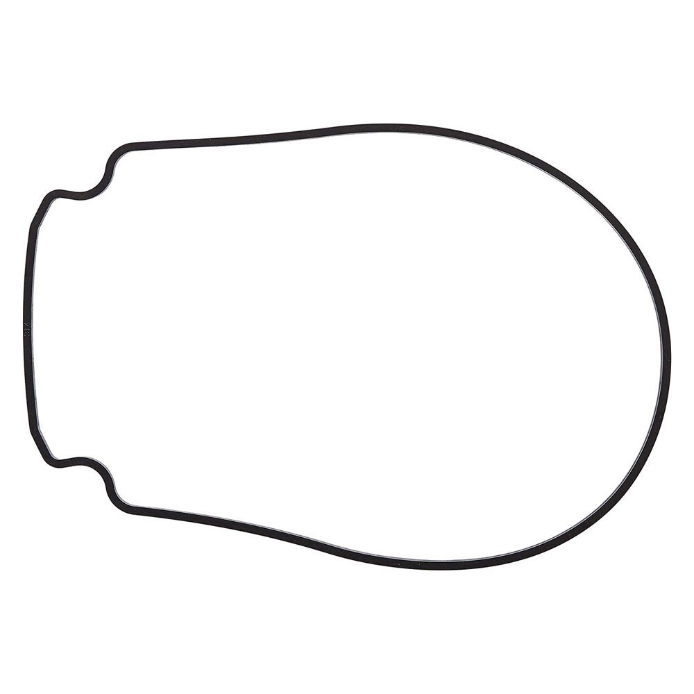Pentair 357100 Whisperflo Seal Plate Gasket