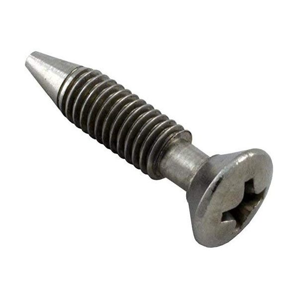 Pentair Light Retaining Screw