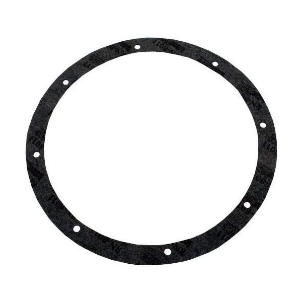 Pentair 79200300 American 8 Hole Pattern Gasket Set for Light Niche