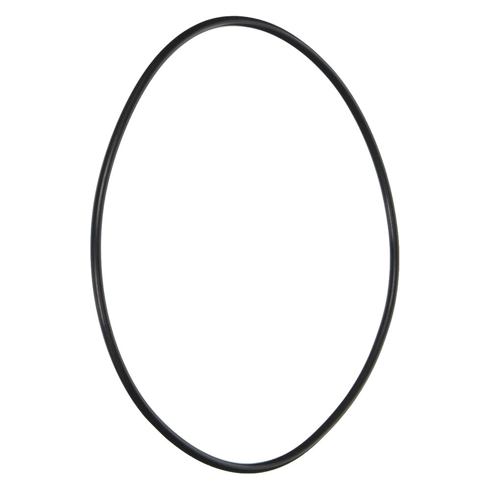 Pentair Letro Booster Pump Seal Plate O-Ring
