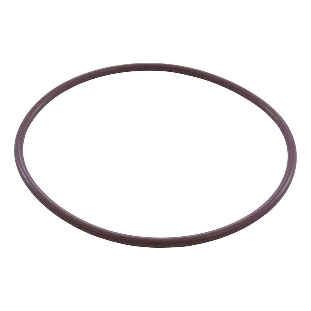 Pentair R172223Z Predator Lid O-Ring