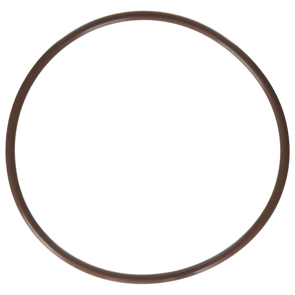 Pentair R172240Z High Capacity Feeder Lid O-Ring