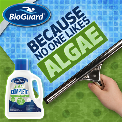 Algae Removal in an Inground Pool
