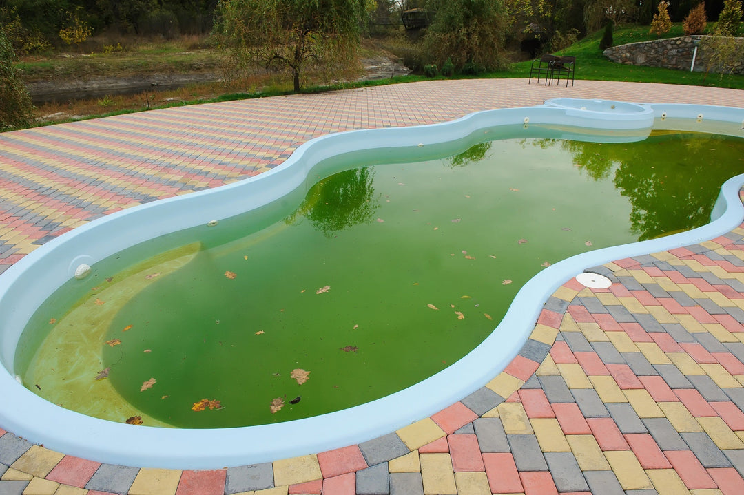 How to Use Revive!® From APi to Clean Your Pool