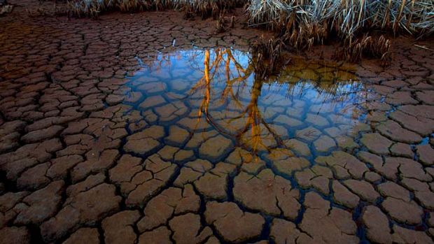 Backyard Groundwater Issues Causing Liner Wrinkles or Liner Floating